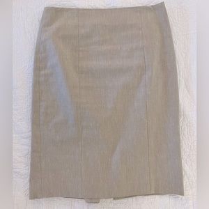 Ann Taylor Skirt